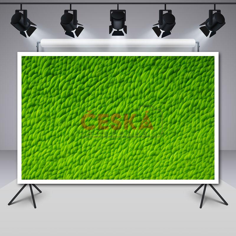 Fotbal_00002