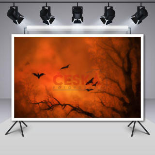 Halloween_00009