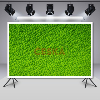 Fotbal_00002
